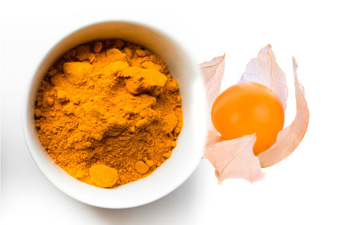 GOLDENBERRY POWDER
