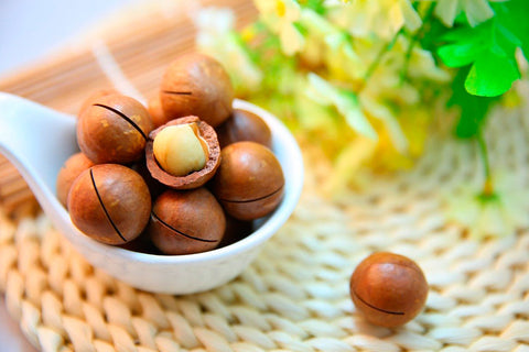 MACADAMIA