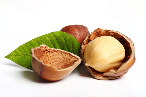 HAZELNUTS WHOLE BLANCHED