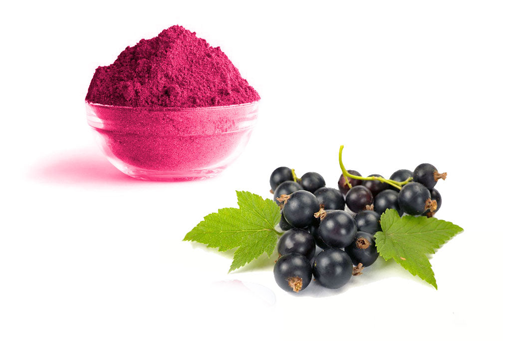 BLACK CURRANT POWDER