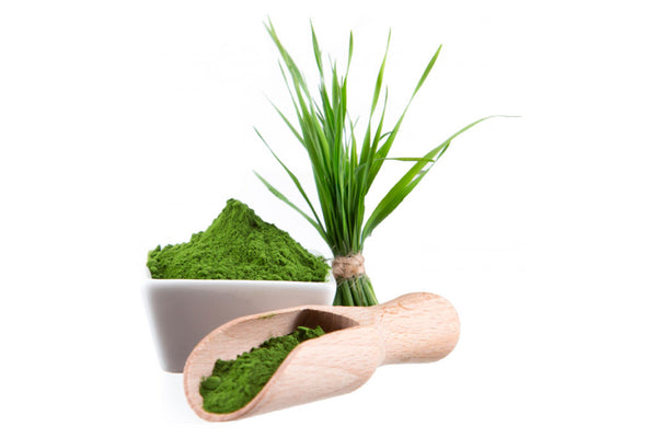 WHEATGRASS POWDER